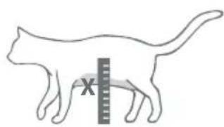 x