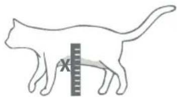 SureFlap Microchip Pet Door Connect - Step-by-step guide - 2