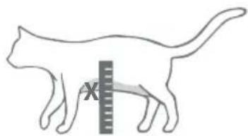 SureFlap Microchip Pet Door Connect - Stapsgewijze handleiding - 3