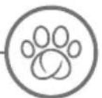 SureFlap Microchip Pet Door Connect - Enjoy your Microchip Pet Door Connect! - 1