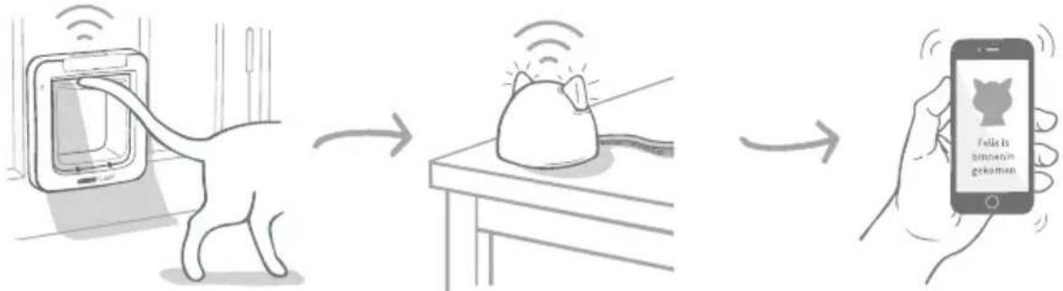 SureFlap Microchip Pet Door Connect - Andere belangrijke dingen om rekening mee te houden - 6