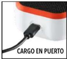 CARGO EN PUERTO
