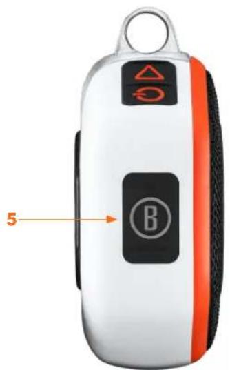 5 B