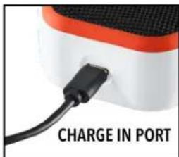 CHARGE IN PORT