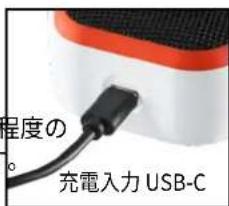 程度の 充電入力 USB-C