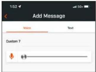 Add Message Voice Text Custom 7