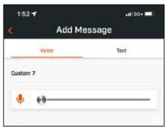 Add Message Voice Text Custom 7