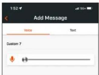 Add Message Voice Text Custom 7