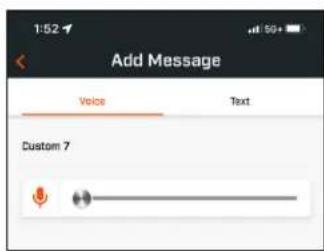 Add Message Voice Text Custom 7