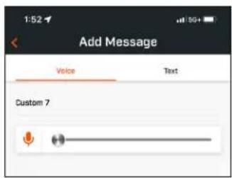Add Message Voice Text Custom 7