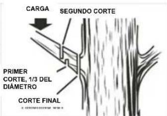 Earthwise CS33014 - CORTE DE RAMAS - 3