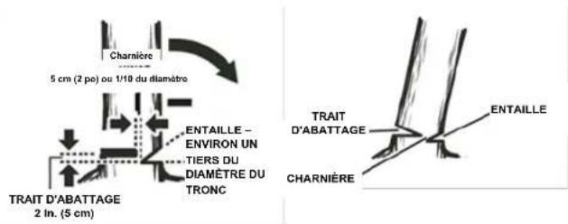 Earthwise CS33014 - TRAIT D'ABATTAGE - 2
