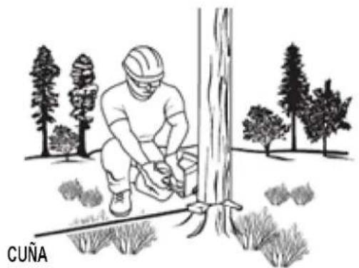 Earthwise CS33014 - CORTE POSTERIOR DE TALA - 1