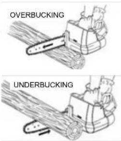 Earthwise CS33014 - BUCKING LOGS UNDER STRESS - 1