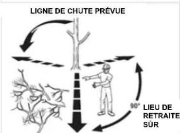 Earthwise CS33014 - ABATTAGE D'UN ARBRE - 2