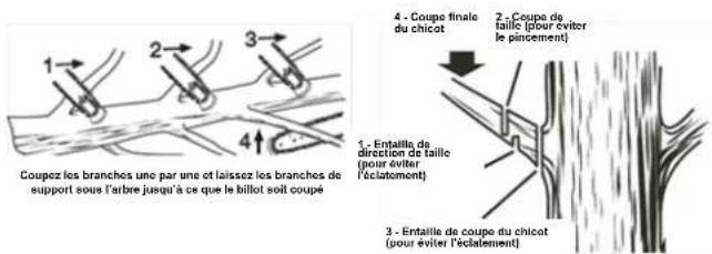 Earthwise CS33014 - ÉBRANCHAGE - 1