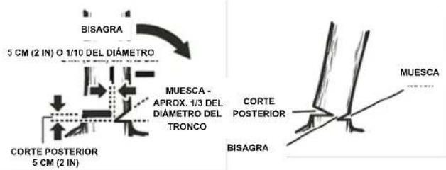 Earthwise CS33014 - CORTE POSTERIOR DE TALA - 3