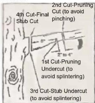 Earthwise CVPS43010 - BUCKING LOGS UNDER STRESS - 4