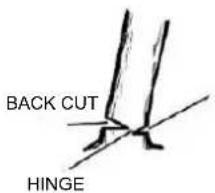 Earthwise CVPS43010 - CUTTING INSTRUCTIONS - 2