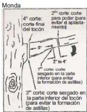 Earthwise CVPS43010 - CORTE DE RAMAS (Fig. 24) - 2
