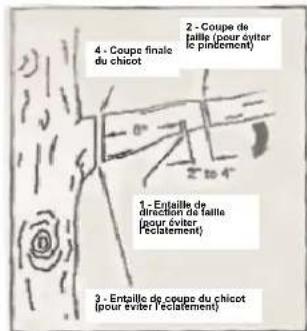 Earthwise CVPS43010 - ÉBRANCHAGE - 2