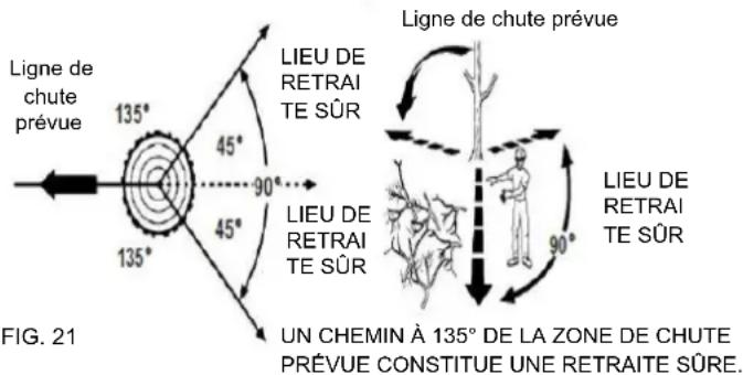 Earthwise CVPS43010 - ABATTAGE D'UN ARBRE - 2