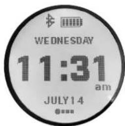 WEDNESDAY 11:31 am JULY 1 4