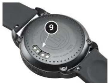 BUSHNELL Ion Edge - [Play Golf] （プレー）画面詳細 - 1