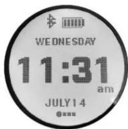 WEDNESDAY 11:31 am JULY 14