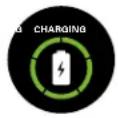 BUSHNELL Ion Elite - CHARGING THE BATTERY - 4