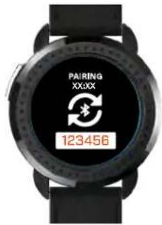 PAIRING XXX 123456