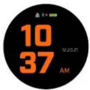 BUSHNELL Ion Elite - AVVIO RAPIDO - 3