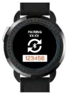PAIRING XX-XX 123456