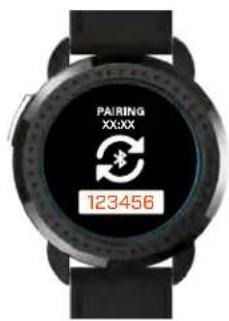 PAIRING XXXX 123456
