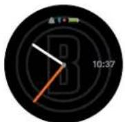 BUSHNELL Ion Elite - KURZANLEITUNG - 4