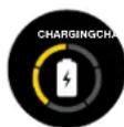 BUSHNELL Ion Elite - CHARGE DE LA BATTERIE - 3
