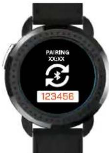 PAIRING XXX 123456