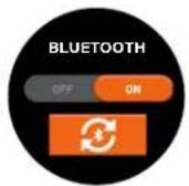 BUSHNELL Ion Elite - CONFIGURACIÓN DEL SISTEMA: - 2