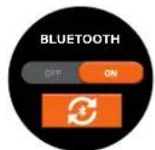 BUSHNELL Ion Elite - SYSTEM SETTINGS: - 6