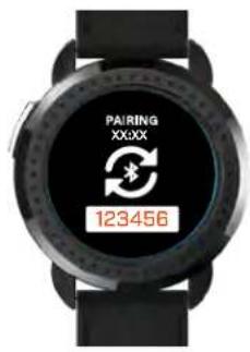 PAIRING XXXX 123456