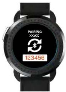 PAIRING XXXX 123456