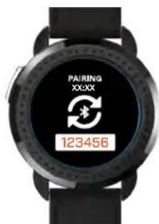 PAIRING XXX 123456