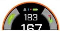 BUSHNELL Ion Elite - SLOPE - 2