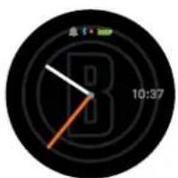 BUSHNELL Ion Elite - PLAY GOLF SCREEN DETAILS - 6