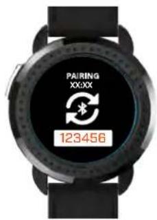 PAIRING XXXX 123456