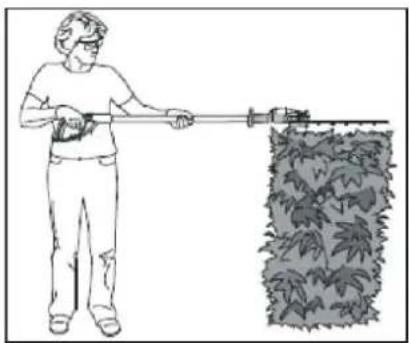 Earthwise LPHT12022 - UTILISATION DU TAILLE-HAIE À MANCHE - 2