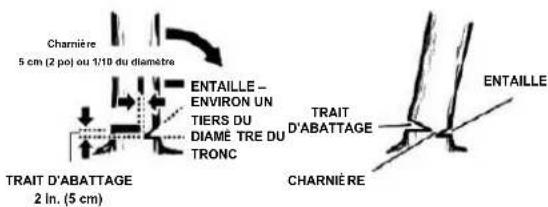 Earthwise CVP41810 - INSTRUCTIONS DE COUPE - 2