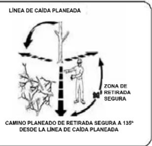 Earthwise CVP41810 - TALA DE UN Á RBOL - 2