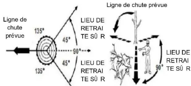 Earthwise CVP41810 - ABATTAGE D'UN ARBRE - 1