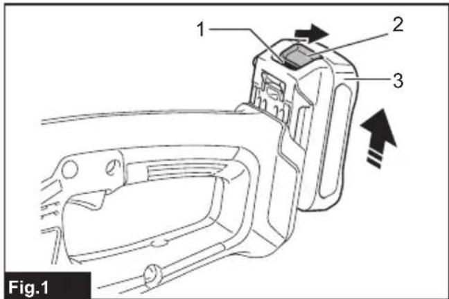 1 2 3 Fig.1